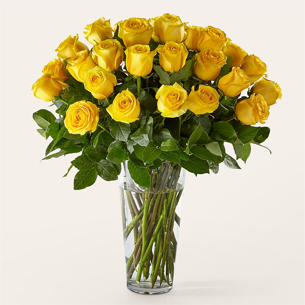 Long Stem Yellow Rose Bouquet – Luxe Flowers Birmingham, Birmingham MI