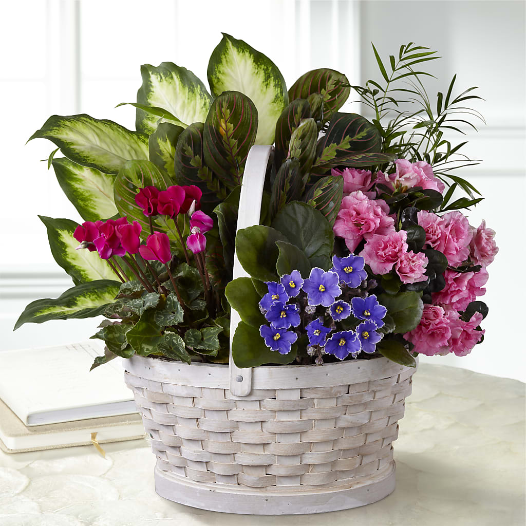 Peaceful Garden Planter – Luxe Flowers Birmingham, Birmingham MI