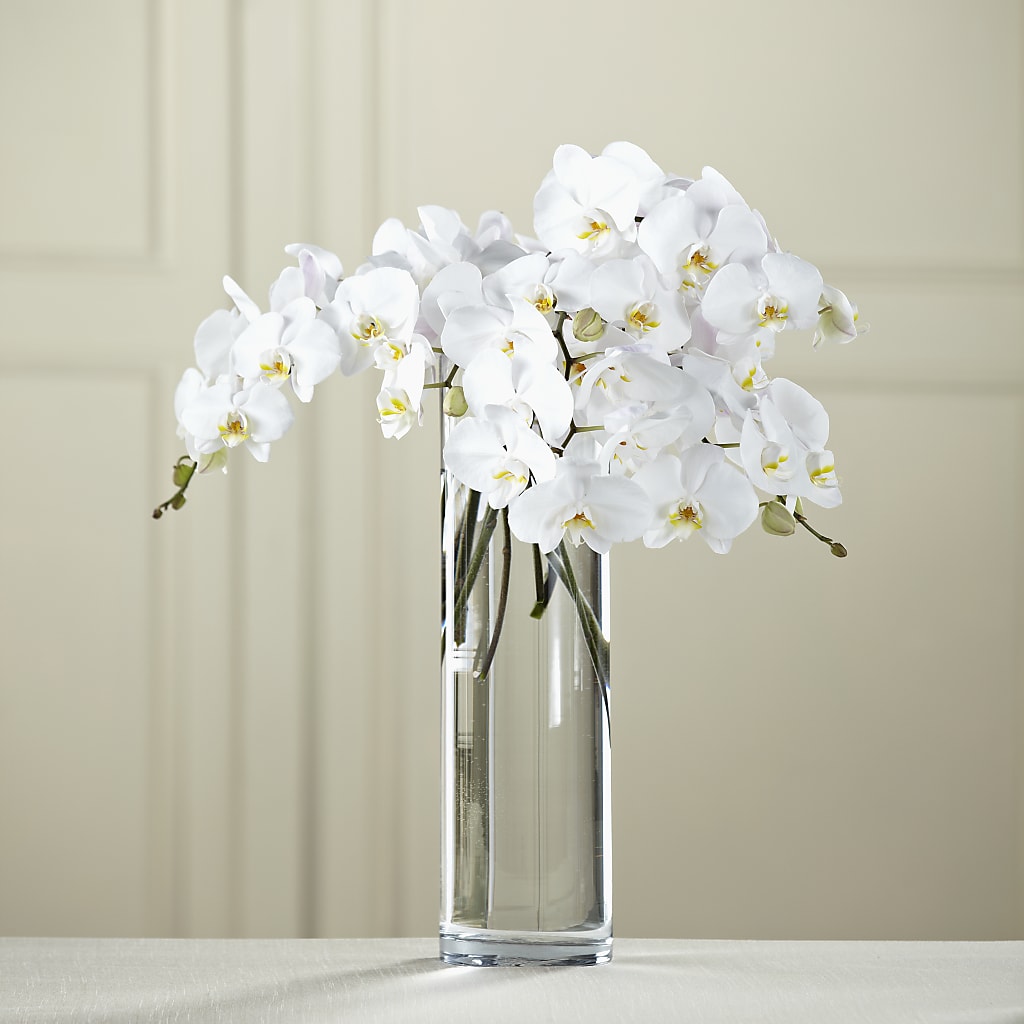 White Phalaenopsis Bouquet – Luxe Flowers Birmingham, Birmingham MI