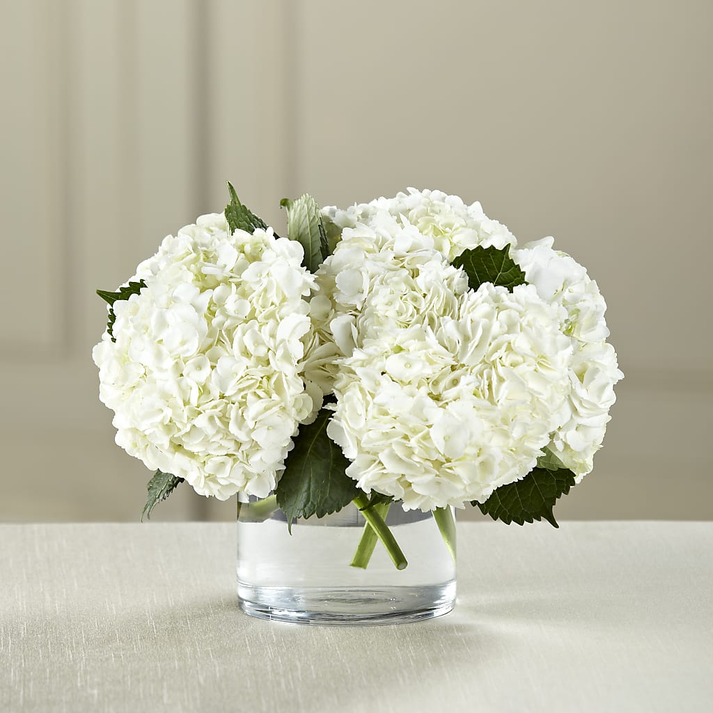 White Hydrangea Bouquet – Luxe Flowers Birmingham, Birmingham MI