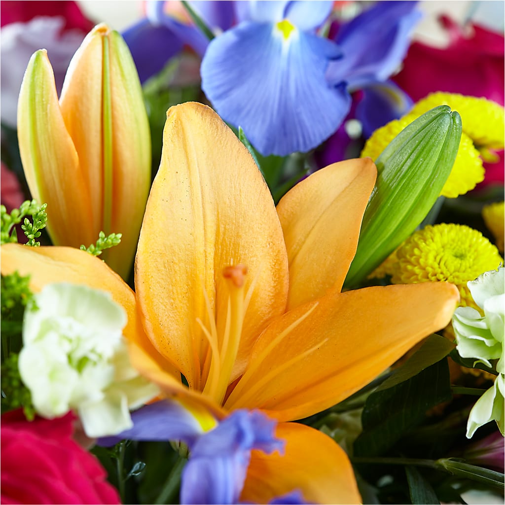 Bold & Bright – A Florist Original –  Luxe Flowers Birmingham, Birmingham MI