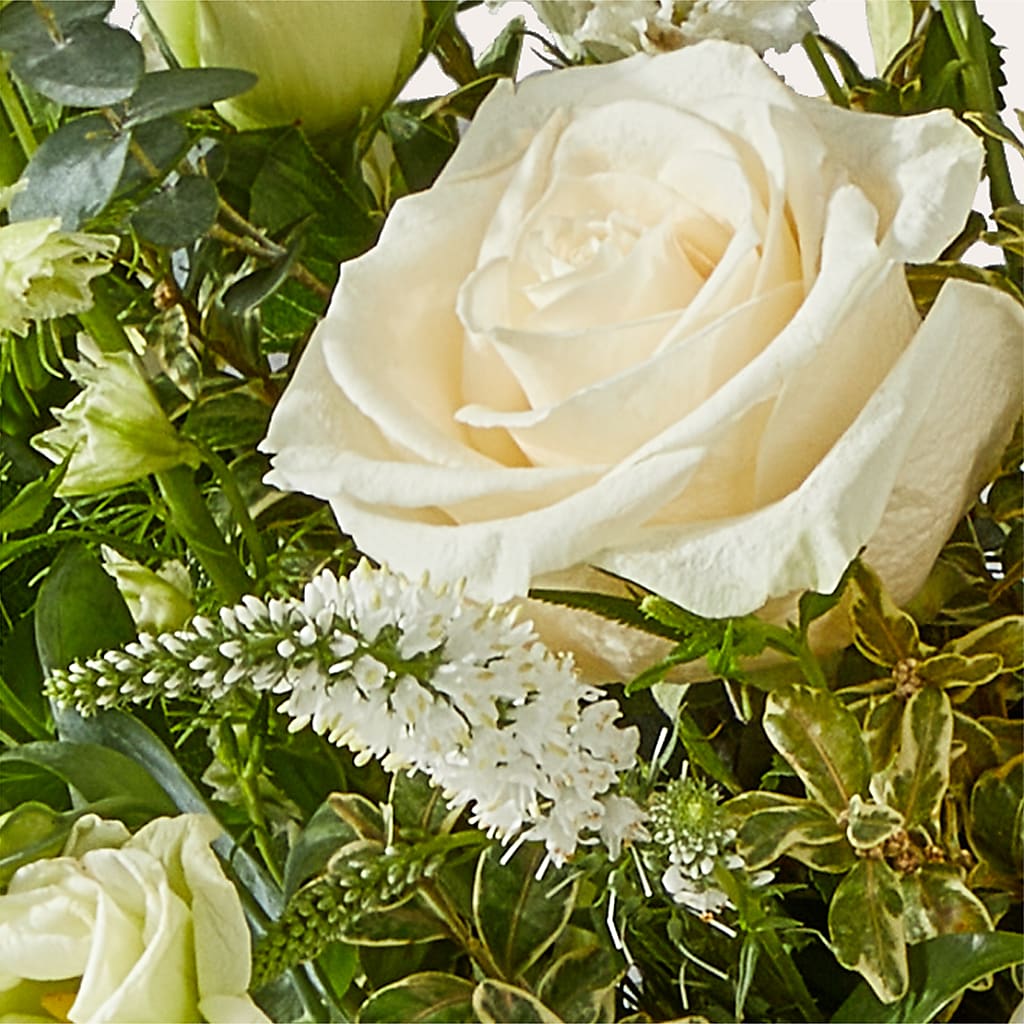 Cashmere Bouquet –  Luxe Flowers Birmingham, Birmingham MI