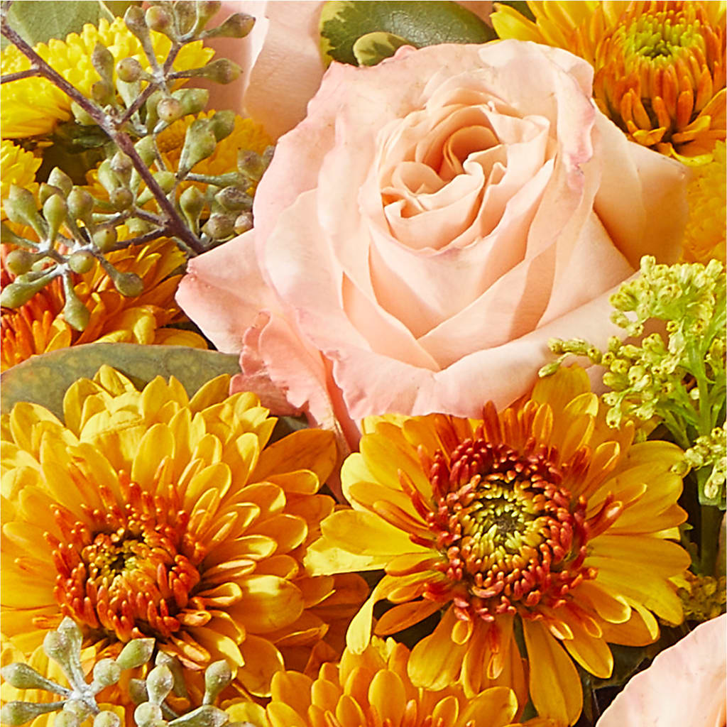 Peachy Pumpkin –  Luxe Flowers Birmingham, Birmingham MI