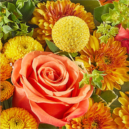Gourdgeous Pumpkin –  Luxe Flowers Birmingham, Birmingham MI