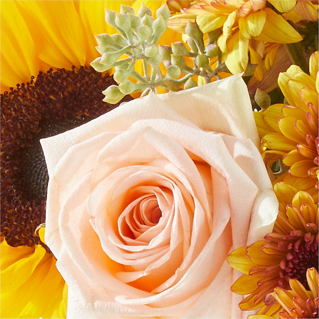 Pumpkin to Talk About Bouquet –  Luxe Flowers Birmingham, Birmingham MI