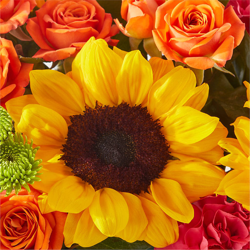 Sun-drenched Blooms Box Bouquet –  Luxe Flowers Birmingham, Birmingham MI