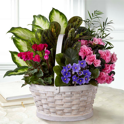 Peaceful Garden Planter –  Luxe Flowers Birmingham, Birmingham MI