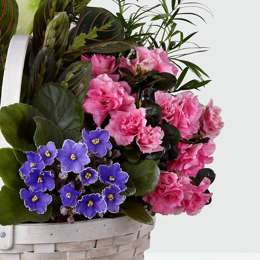 Peaceful Garden Planter –  Luxe Flowers Birmingham, Birmingham MI
