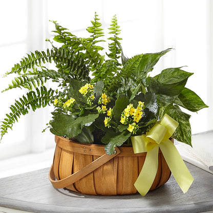 Always Dear Dishgarden –  Luxe Flowers Birmingham, Birmingham MI