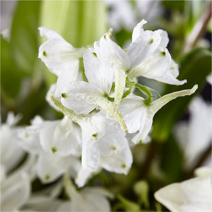 Classic Ivory – A Florist Original –  Luxe Flowers Birmingham, Birmingham MI
