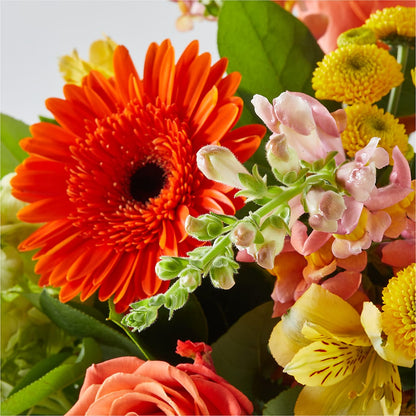 Autumn Sunshine Bouquet –  Luxe Flowers Birmingham, Birmingham MI