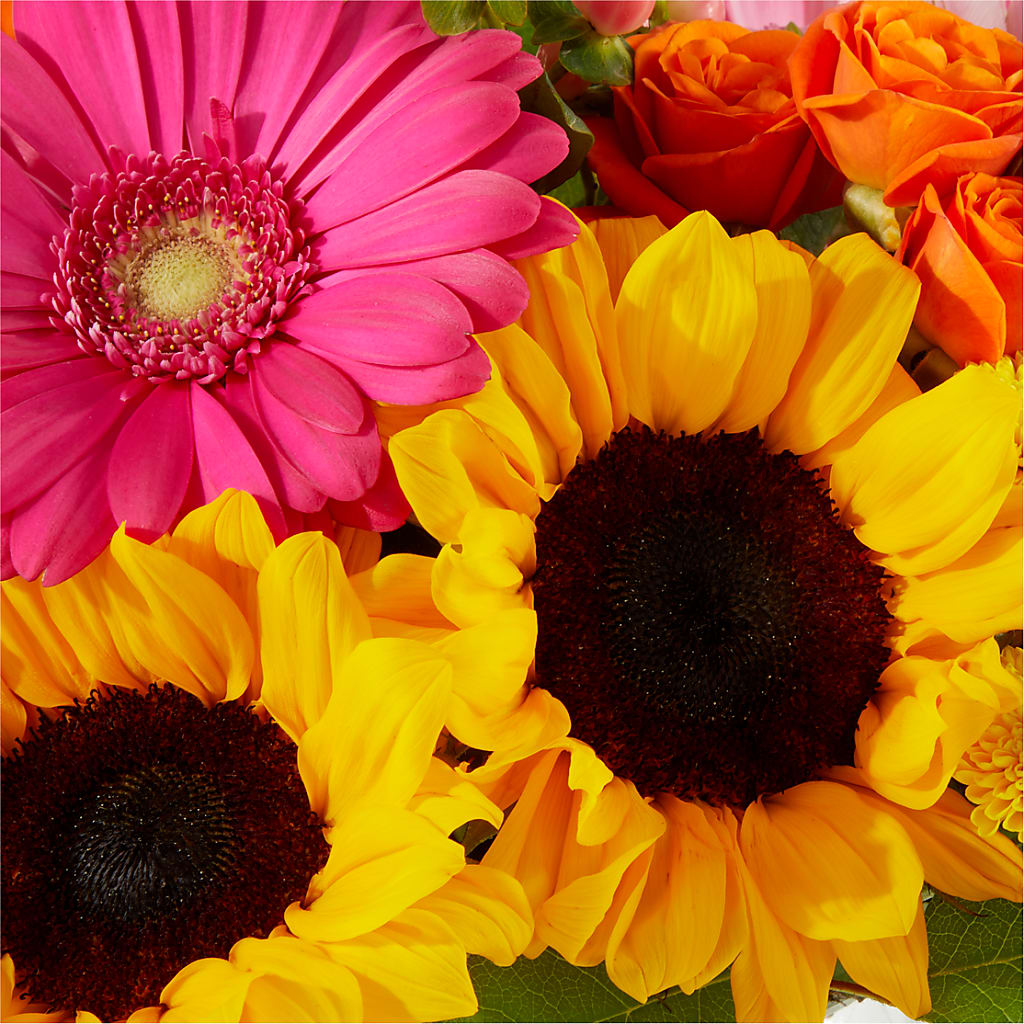 Beach Day Bouquet –  Luxe Flowers Birmingham, Birmingham MI