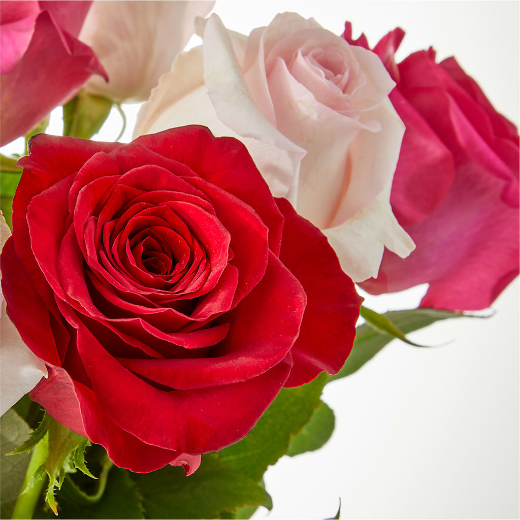 Charming Rose Bouquet –  Luxe Flowers Birmingham, Birmingham MI