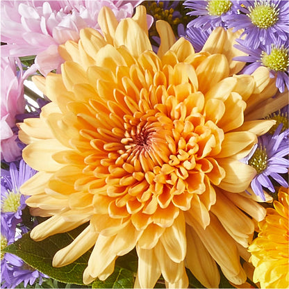 Countryside Bouquet –  Luxe Flowers Birmingham, Birmingham MI