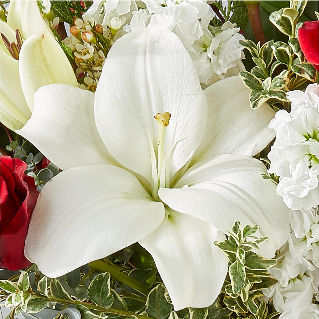 Twinkle Lights Bouquet –  Luxe Flowers Birmingham, Birmingham MI