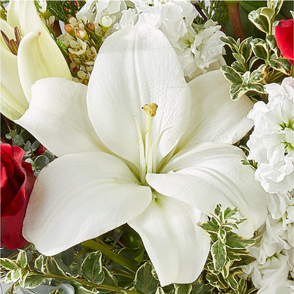 Twinkle Lights Bouquet –  Luxe Flowers Birmingham, Birmingham MI