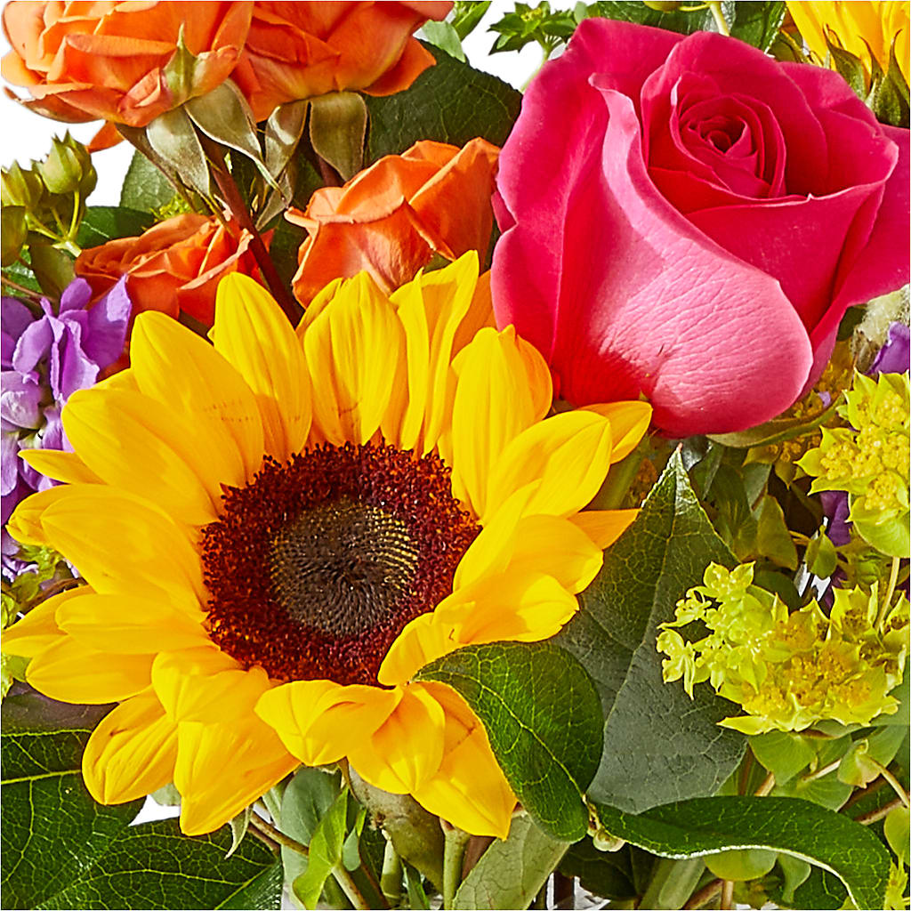 Vibrant Greetings Bouquet –  Luxe Flowers Birmingham, Birmingham MI