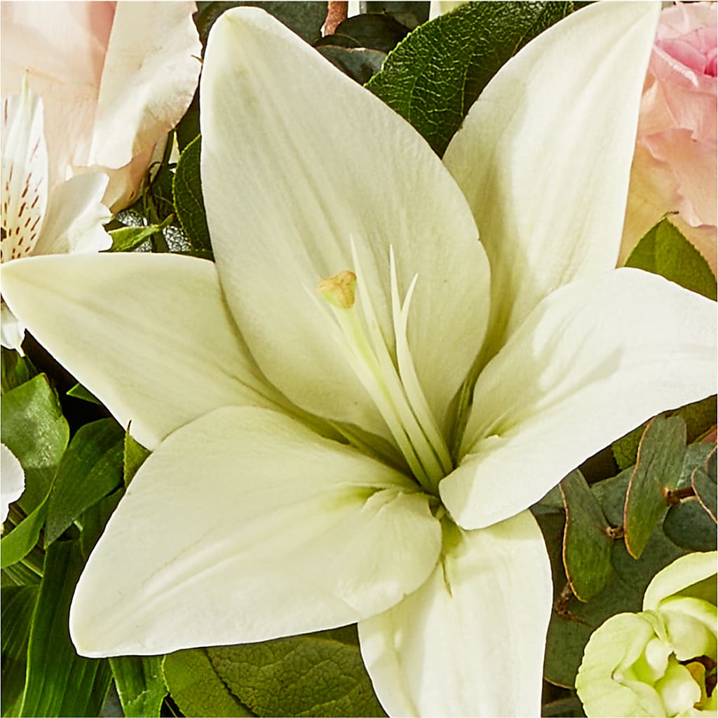Ballet Slippers Bouquet –  Luxe Flowers Birmingham, Birmingham MI
