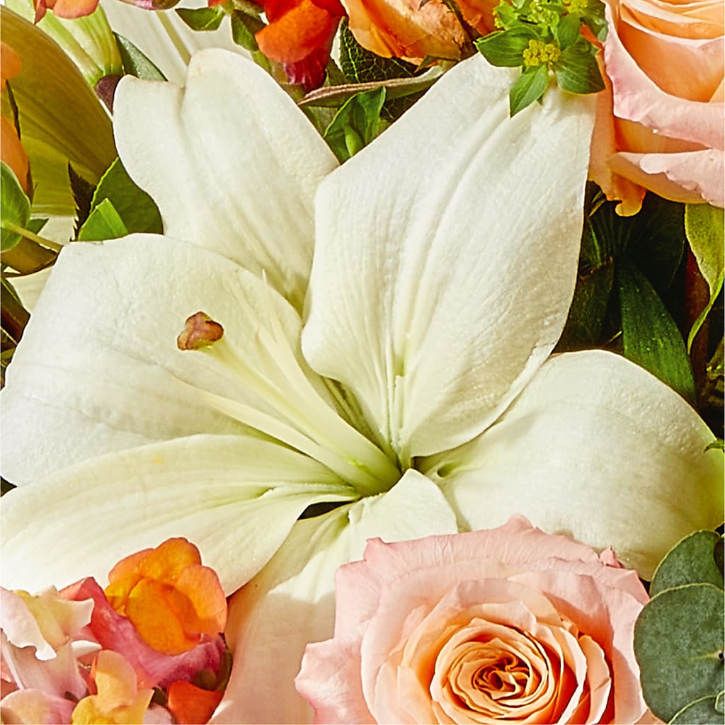 Grapefruit Splash Bouquet –  Luxe Flowers Birmingham, Birmingham MI