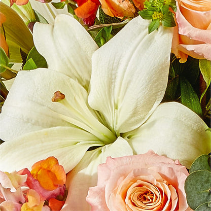 Grapefruit Splash Bouquet –  Luxe Flowers Birmingham, Birmingham MI