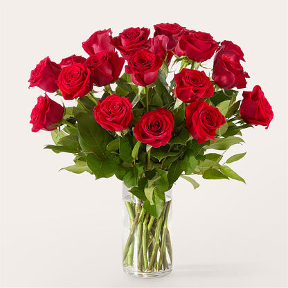 The One Red Rose Bouquet –  Luxe Flowers Birmingham, Birmingham MI