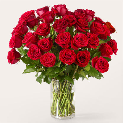 The One Red Rose Bouquet –  Luxe Flowers Birmingham, Birmingham MI