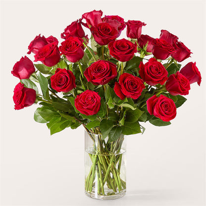 The One Red Rose Bouquet –  Luxe Flowers Birmingham, Birmingham MI
