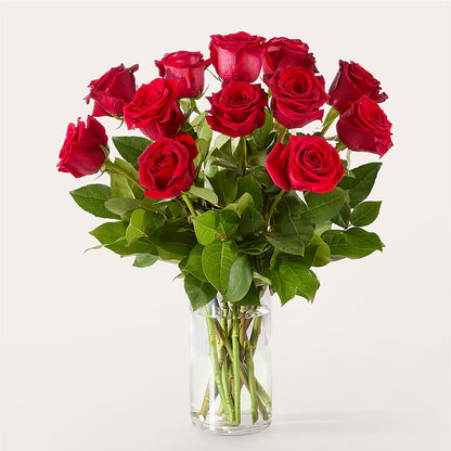 The One Red Rose Bouquet –  Luxe Flowers Birmingham, Birmingham MI