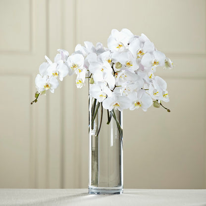 White Phalaenopsis Bouquet –  Luxe Flowers Birmingham, Birmingham MI
