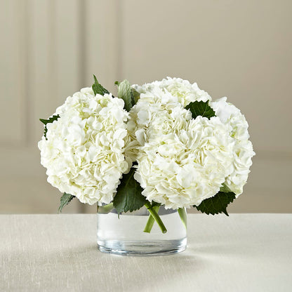 White Hydrangea Bouquet –  Luxe Flowers Birmingham, Birmingham MI